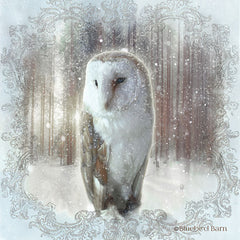 BLUE153 - Enchanted Winter Owl    - 12x12