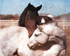 BLUE155 - White and Chestnut Horses    - 16x12