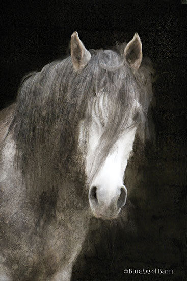 Bluebird Barn BLUE260 - BLUE260 - Gypsy Vanner Mystique   - 12x18 Abstract, Horse, Farm from Penny Lane