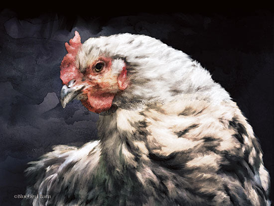 Bluebird Barn BLUE286 - Rooster Portrait - 16x12 Rooster, Farm, Portrait from Penny Lane