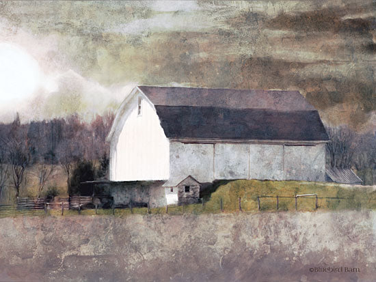 Bluebird Barn BLUE287 - Rustic White Barn Scene I - 16x12 Barn, Farm, Rustic, Watercolor, Country from Penny Lane