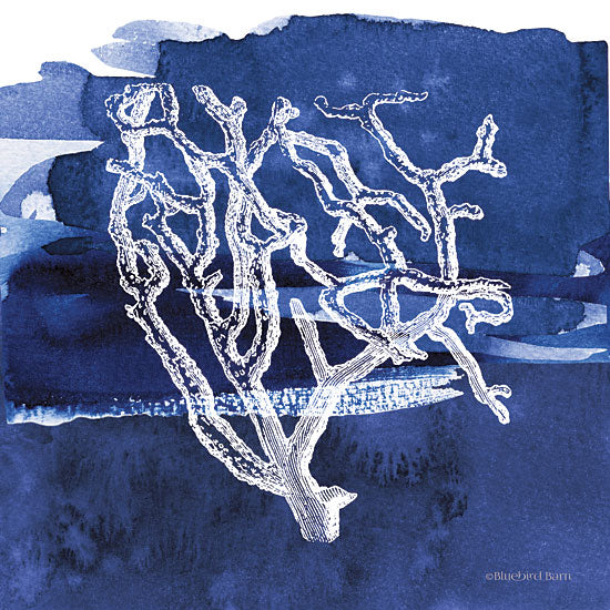 Bluebird Barn BLUE428 - BLUE428 - Coastal Blue and White Brush Coral II - 12x12 Coral, Coastal, Blue & White from Penny Lane