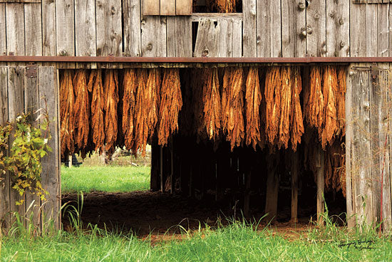 Susie Boyer BOY397 - Tobacco Barn - 18x12 Tobacco Barn, Barn, Farm, Photography from Penny Lane