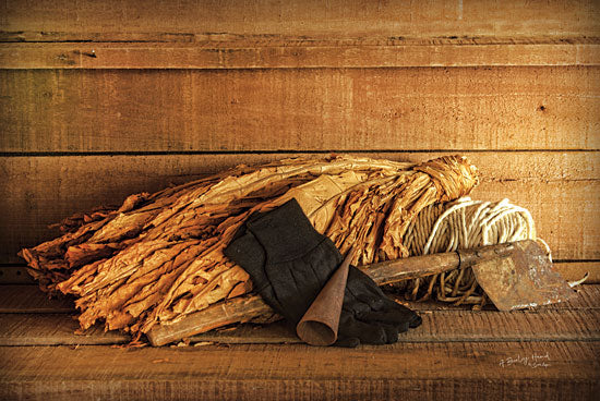 Susie Boyer BOY398 - Tobacco - 18x12 Tabaco, Gloves, Harvesting, Still Life, Photography from Penny Lane