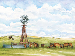 CIN1100 - Pasture Cows