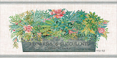 CIN1395 - Flowers & Succulents