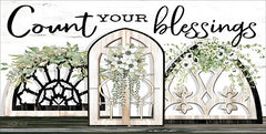 CIN1700 - Count Your Blessings - 18x9