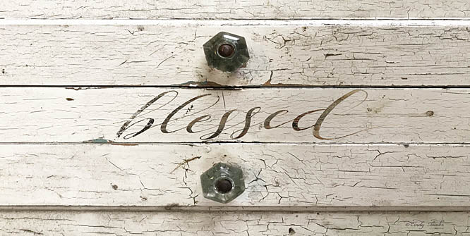 Cindy Jacobs CIN913 - Blessed - Blessed, Door Knobs, Calligraphy from Penny Lane Publishing