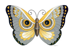 DS1752 - Owl Butterfly - 16x12
