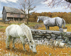 ED367 - Horse Farm II