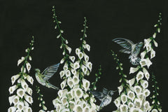 HH142 - Hummingbirds - 18x12