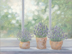 JAN243 - Lavender Pots