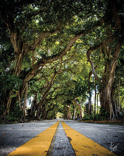 Justin Spivey JDS201 - Tree Lines - Trees, Road from Penny Lane Publishing