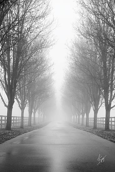 Justin Spivey JDS210 - JDS210 - Curious Road - 12x18 Photography, Road, Trees, Fence, Landscape from Penny Lane