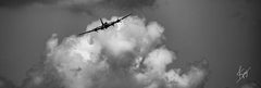 JDS211 - Soaring - 24x8