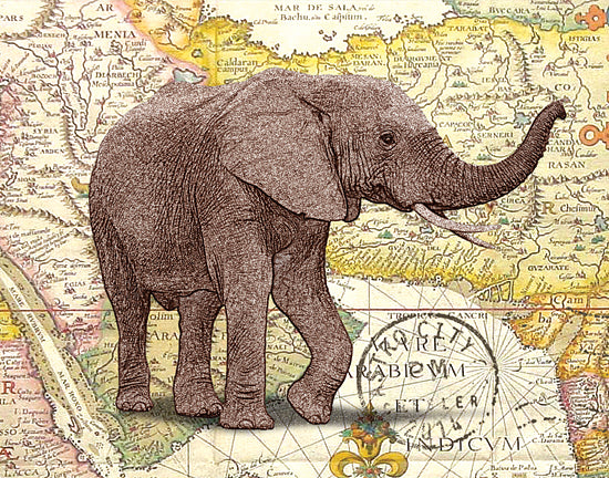JG Studios JGS172 - JGS172 - Elephant Trunk I - 16x12 Elephant, Map, Postcard from Penny Lane