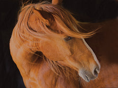 JGS268 - Beautiful Mane - 16x12