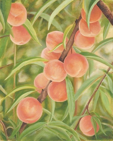 Kate Sherrill KS108 - Peach Perfect - 16x12 Peaches, Peach, Tree from Penny Lane