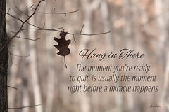 LD1172 - Hang in There - 18x12