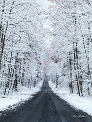 LD1176B - All Roads Lead Home - 12x16