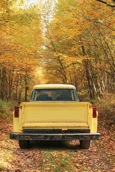 Lori Deiter LD1194 - The Season of Color - Truck, Autumn, Antiques, Forest from Penny Lane Publishing