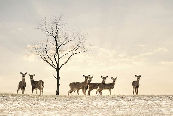 Lori Deiter LD1216 - Doe a Deer - Deer, Snow, Winter, Field from Penny Lane Publishing