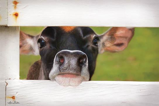 Lori Deiter LD1223 - Cow at Fence - Cow, Fence, Baby from Penny Lane Publishing