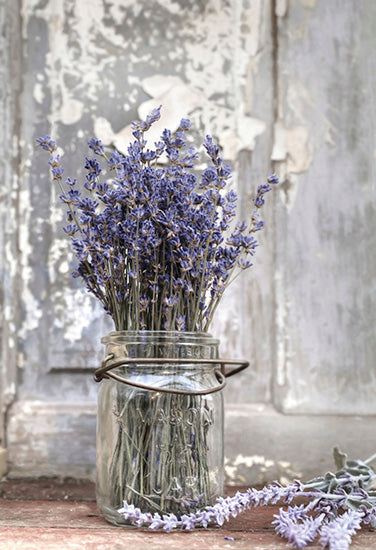 Lori Deiter LD1248 - Lavender Bench - Lavender, Bench, Jar, Antiques, Still Life from Penny Lane Publishing