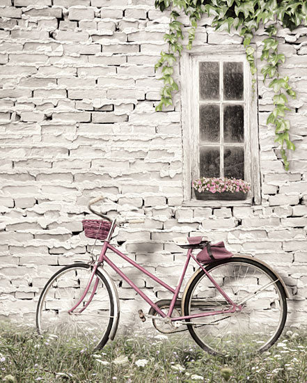 Lori Deiter LD1263 - Ready for a Bike Ride Bike, Brick House, Window Box, Flowers, Neutral from Penny Lane