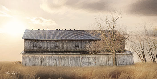 Lori Deiter LD1366 - Sundown at the Barn Barn, Farm, Birds, Hay, Deserted from Penny Lane