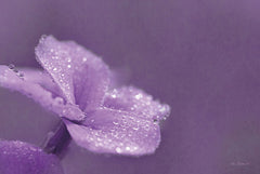 LD1373 - Purple Dew - 18x12
