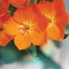 LD1387 - Floral Pop III - 12x12