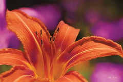 LD1389 - Floral Pop V - 18x12