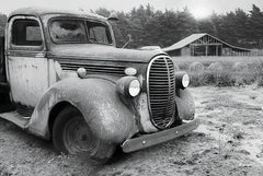 LD1393 - Stuck in the Mud - 18x12