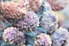 LD1419 - Hydrangeas Abstract - 18x12