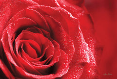 LD1442 - Red Rose After Rain - 18x12