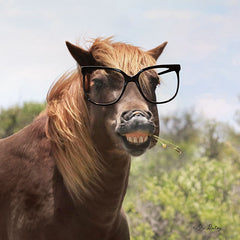 LD1517 - Say Cheese Horse - 12x12