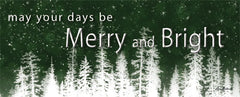 LD1594 - Merry and Bright  - 20x8