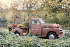 LD1597 - My Wife Borrowed the Truck - 18x12