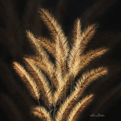 LD1599 - Golden Grass II - 12x12