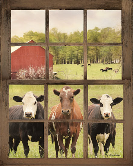 Lori Deiter LD1603 - Three Moo View - 12x16 Window, Farm, Cow, Photography from Penny Lane