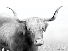 LD1609 - Highland Cow - 16x12