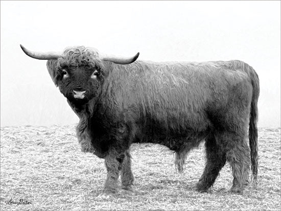 Lori Deiter LD1634 - Scotty the Bull - 16x12 Bull, Longhorn, Farm, Portrait, Black & White, Photography from Penny Lane