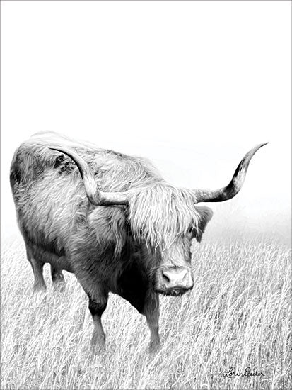 Lori Deiter LD1635 - Kiss My Hairy Face - 12x16 Bull, Longhorn, Farm, Portrait, Black & White, Photography from Penny Lane