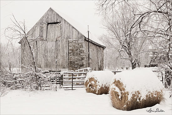 Lori Deiter LD1697GP - Dinner Rolls Farm, Barn, Hay, Winter, Snow, Photography from Penny Lane