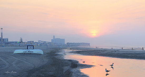 Lori Deiter LD1708GP - Ocean City Sunrise Ocean City, Maryland, Beach, Boats, Birds, Sand, Coast, Nature from Penny Lane