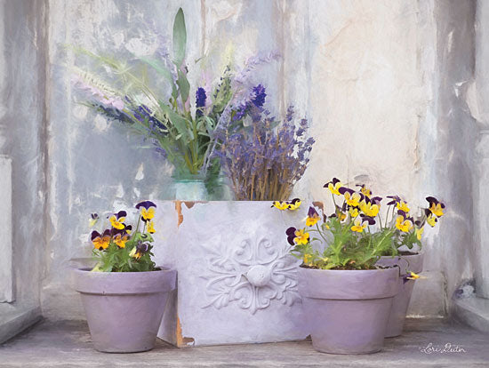 Lori Deiter LD1802 - LD1802 - Pansy Still Life II - 16x12 Floral, Still Life, Pansies, Photography, Potted Flowers from Penny Lane