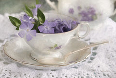 LD1807 - Violet Teacup II - 18x12