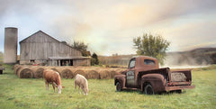 LD1817 - Tioga County Farmland - 18x9