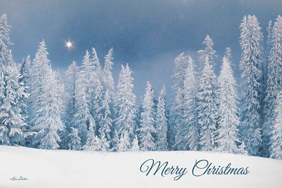 Lori Deiter LD1833 - LD1833 - Lava Mountain Merry Christmas     - 18x12 Merry Christmas, Snow, Winter, Trees, North Star, Signs, Typography from Penny Lane